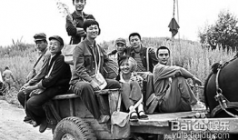 电视剧知青,知青岁月里的青春与梦想